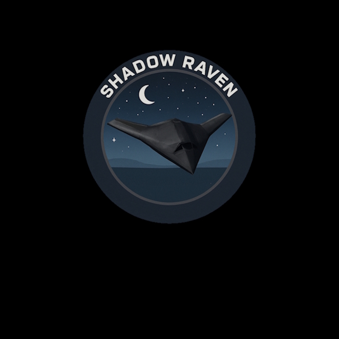 Infinity Space Shadow Raven
